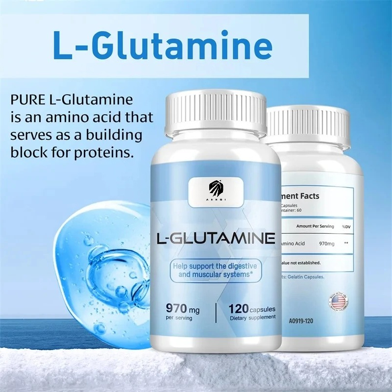 L-Glutamine Supplement for Wor - Nutrition Fitness Supplements reseña y precio